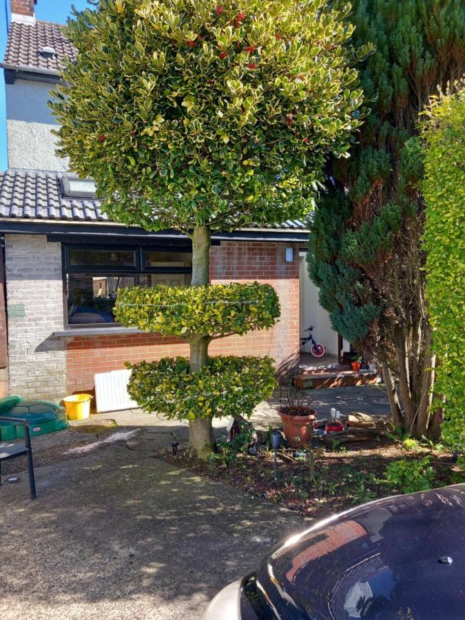 3 Bedroom Family Home Limavady Exterior photo